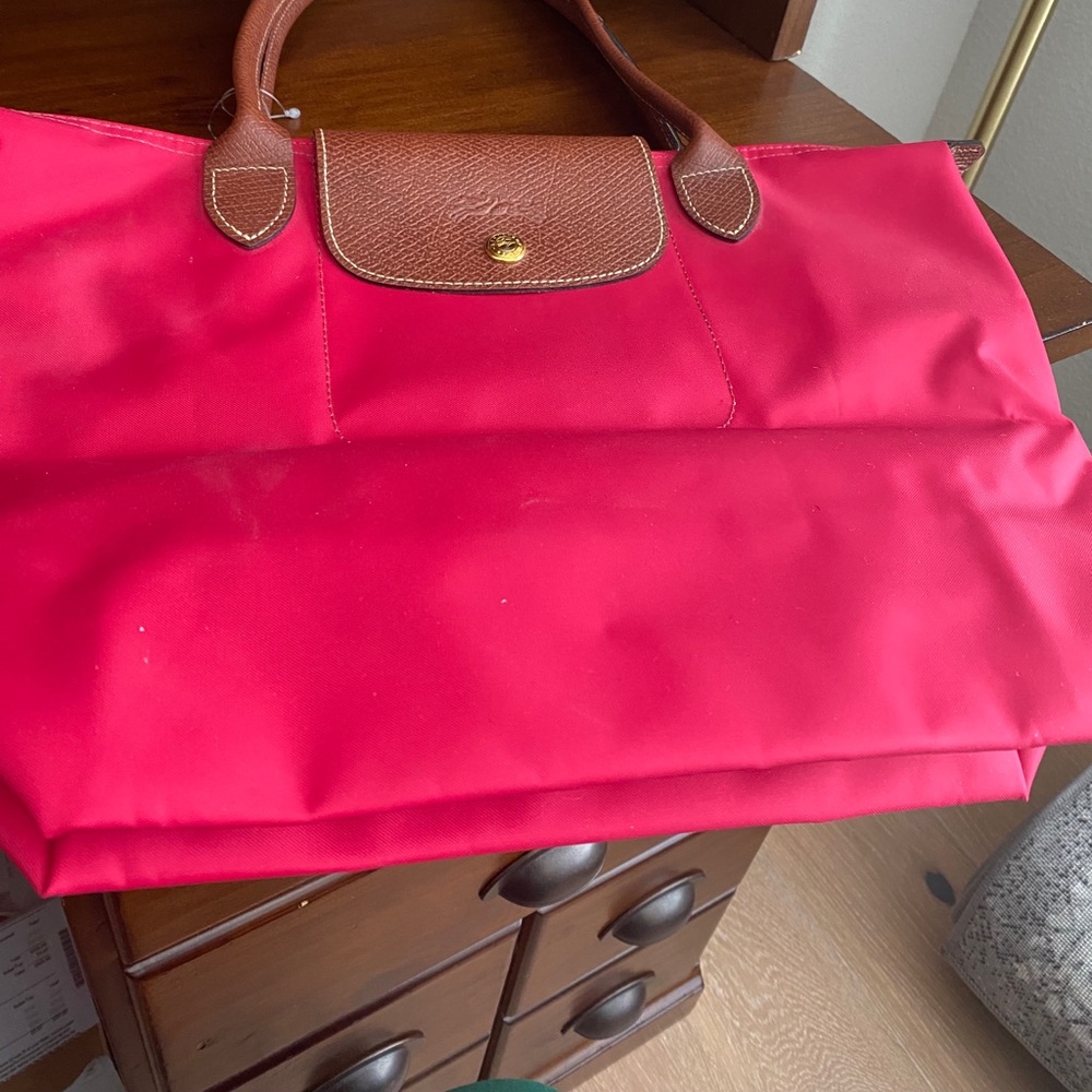 Small long champ bag - nwot